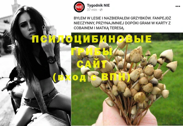 винт Аркадак