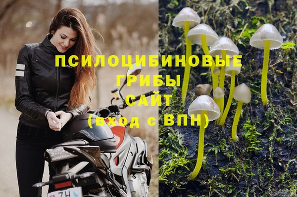 винт Аркадак