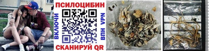 Галлюциногенные грибы GOLDEN TEACHER  Купить  Краснозаводск 